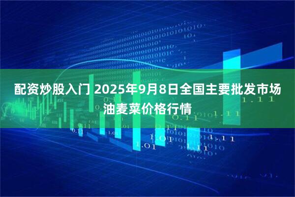 配资炒股入门 2025年9月8日全国主要批发市场油麦菜价格行情